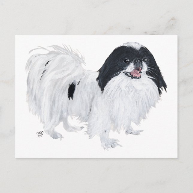 Postal Perro Chin Japonés (Anverso)