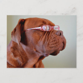 Postal Perro con anteojos rosados