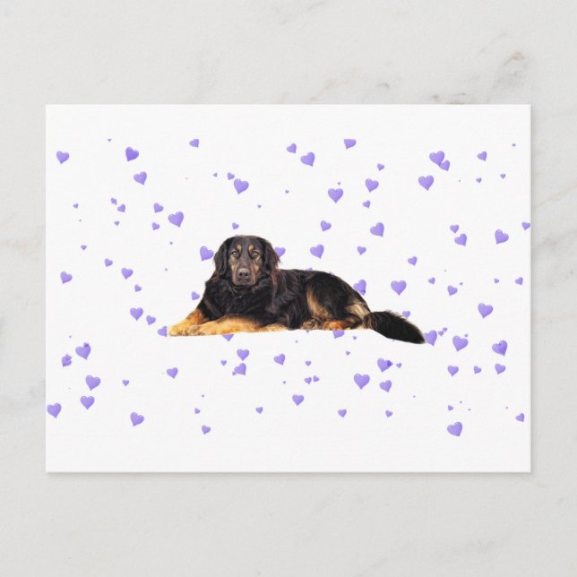 Postal Perro con corazones morados que caen (Anverso)