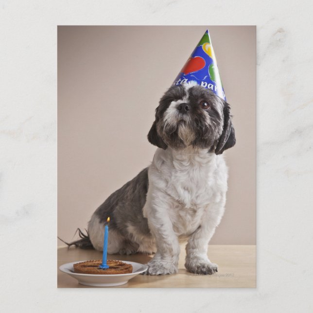 Postal Perro con cumpleaños (Anverso)