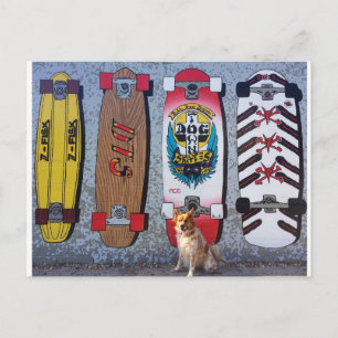 Postal Perro con el mural de patinaje de Dogtown