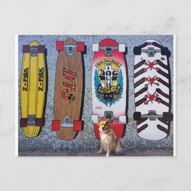 Postal Perro con el mural de patinaje de Dogtown (Anverso)
