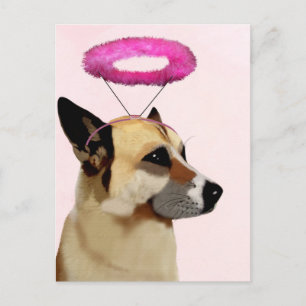 Postal Perro con Halo Rosa