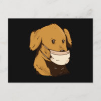Perro con máscara facial