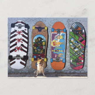 Postal Perro con mural en Skateboards