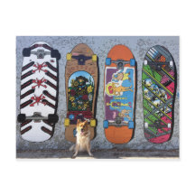 Perro con mural en Skateboards