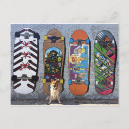 Postal Perro con mural en Skateboards