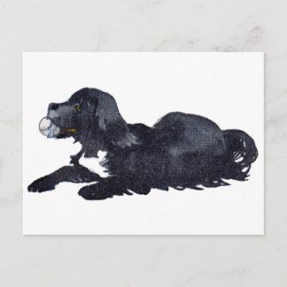 Postal Perro con pelota quiere jugar a buscar
