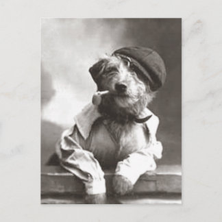 Postal Perro con tubería y Gorra