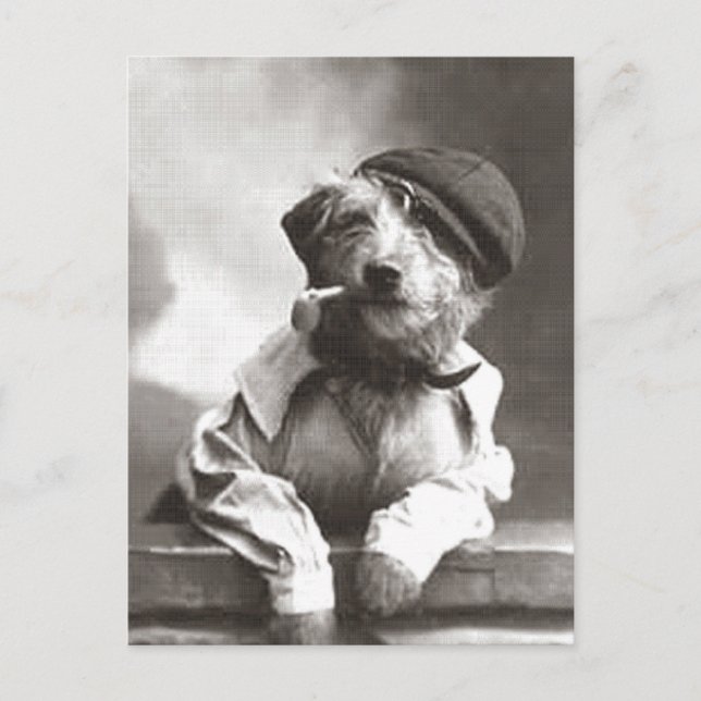 Postal Perro con tubería y Gorra (Anverso)
