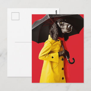 Postal Perro con un impermeable amarillo