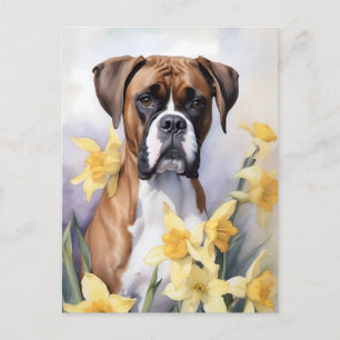 Postal Perro Cute Boxer Con Daffodias Amarillas Acuarela