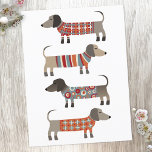 Postal Perro Dachshund Sausage<br><div class="desc">Pequeña salchicha de Dachshund o perritos de peluquería en ropa de cama de lana. Perfecto para los amantes de los perros y los paseantes.</div>