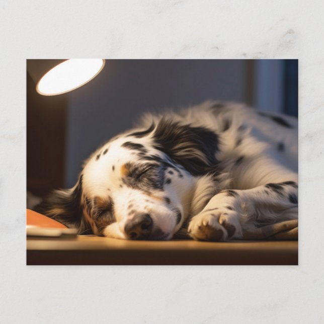 POSTAL PERRO DALMATA DURMIENDO POSTCROSSING (Anverso)