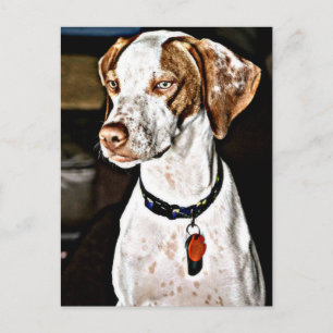 Postal Perro Dapper