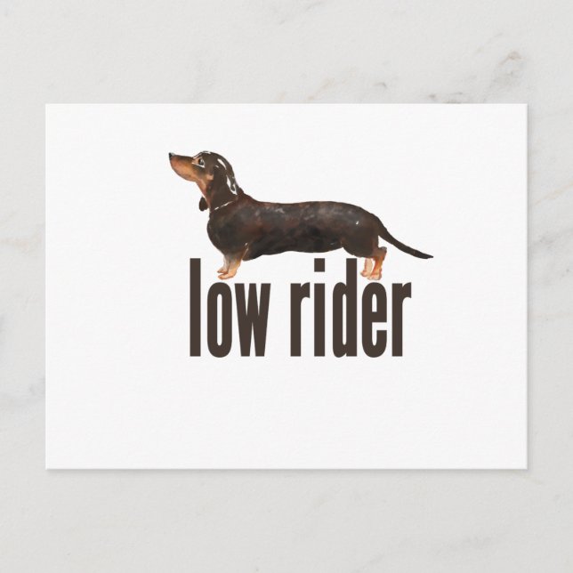 Postal Perro Daschund Sausage (Anverso)