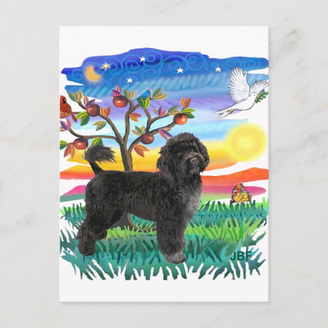 Postal Perro de Agua Portugués (#2) (Anverso)