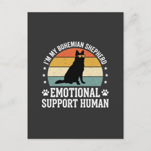 Postal Perro de apoyo emocional humano Pastor Bohemio