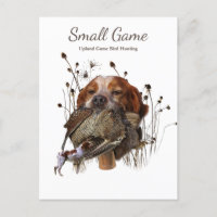 Perro de aves , Caza de aves de caza de uvas