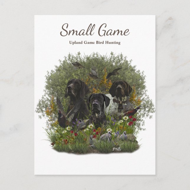 Postal Perro de aves , Caza de aves de caza de uvas (Anverso)