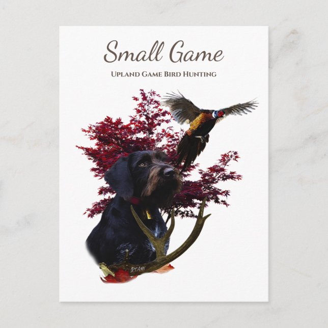 Postal Perro de aves , Caza de aves de caza de uvas (Anverso)