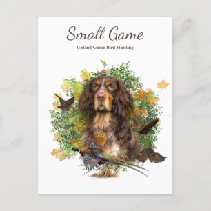 Postal Perro de aves , Caza de aves de caza de uvas