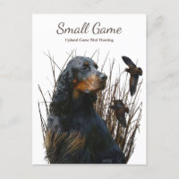 Perro de aves , Caza de aves de caza de uvas