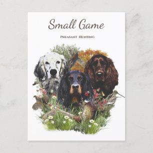Postal Perro de aves, caza de faisanes
