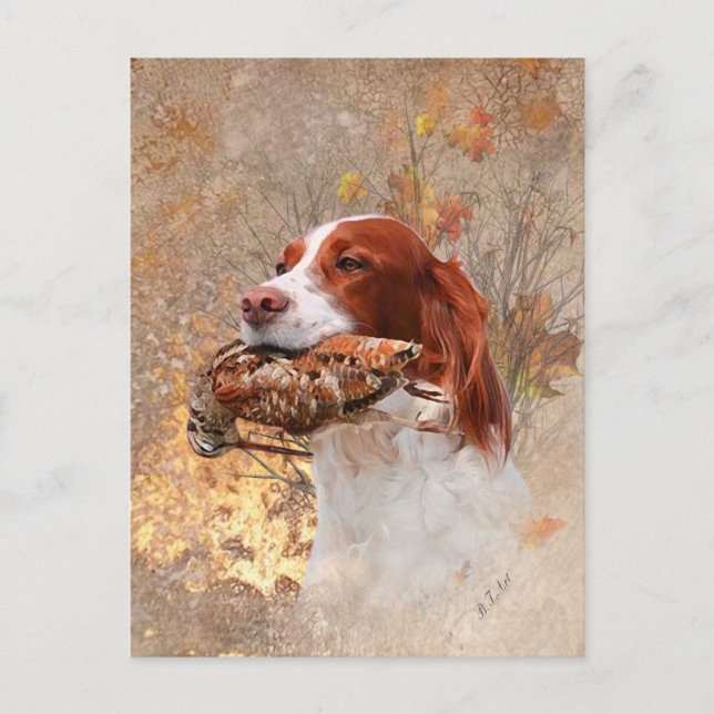 Postal Perro de aves, caza de leña (Anverso)