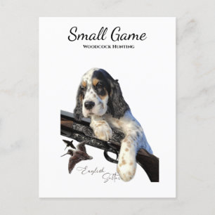 Postal Perro de aves, caza de leña