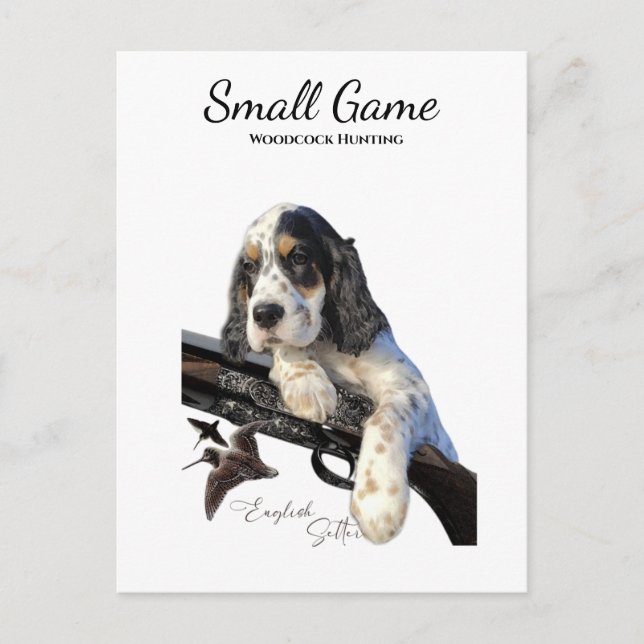 Postal Perro de aves, caza de leña (Anverso)