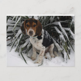 Postal Perro de cachorro de esnoopa suave en la nieve