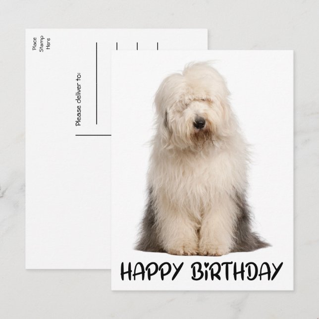 Postal Perro de cachorro lindo perro perro de oveja inglé (Anverso / Reverso)
