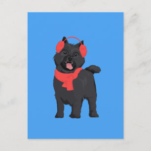 Postal Perro de Cairn Terrier negro de invierno con fango
