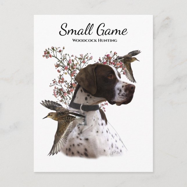 Postal Perro de caza, caza de becada (Anverso)