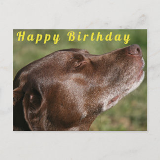 Postal Perro de chocolate blanco - Feliz cumpleaños