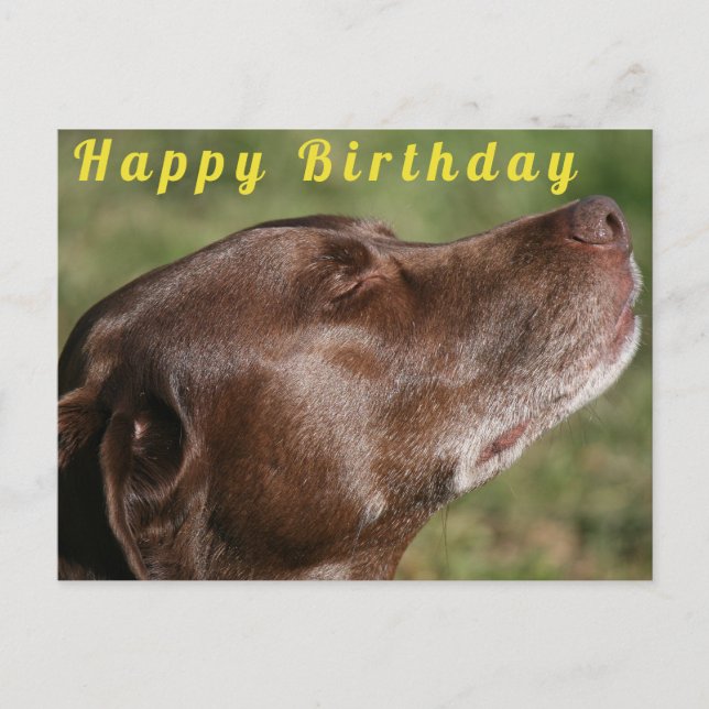 Postal Perro de chocolate blanco - Feliz cumpleaños (Anverso)