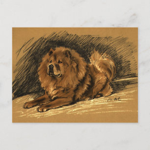 Postal Perro de Chow Vintage