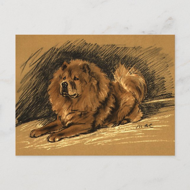 Postal Perro de Chow Vintage (Anverso)