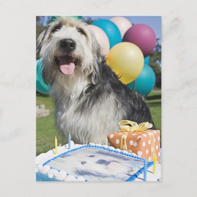 Postal Perro de cumpleaños (Anverso)