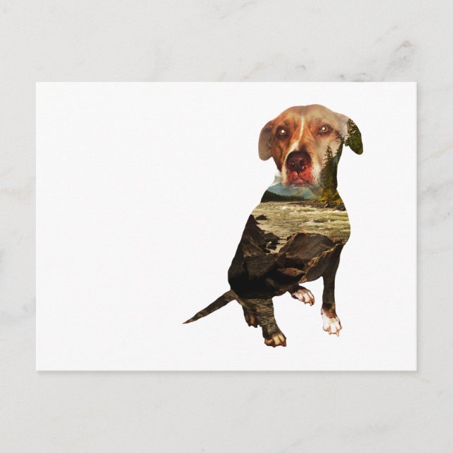 Postal perro de doble exposición (Anverso)