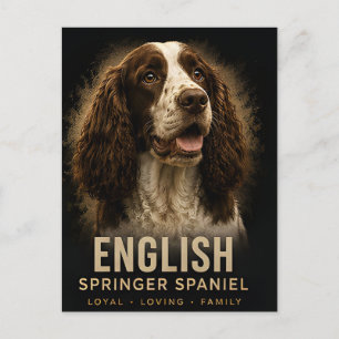 Postal Perro de familia leal y cariñoso English Springer