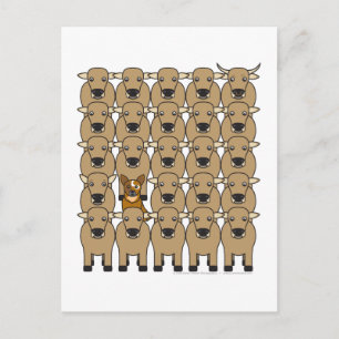 Postal Perro de ganado australiano en manada