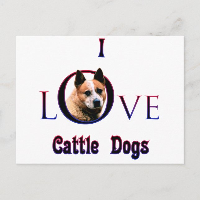 Postal Perro de ganado australiano que amo (Anverso)