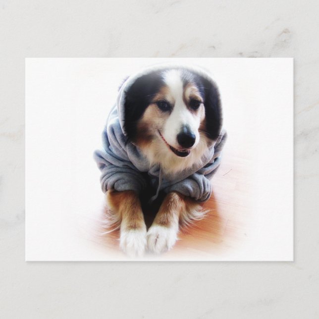 Postal Perro de Gangsta con Hoodie (Anverso)