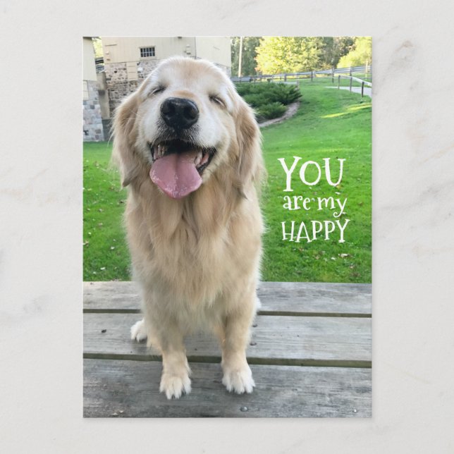 Postal Perro de Golden Retriever, eres mi feliz (Anverso)