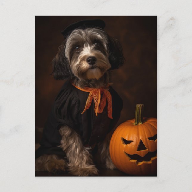 Postal Perro De Halloween Con Jack O Lantern (Anverso)