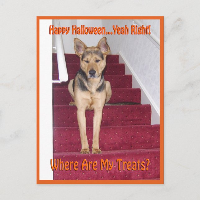 Postal Perro de Halloween y sin dulces (Anverso)