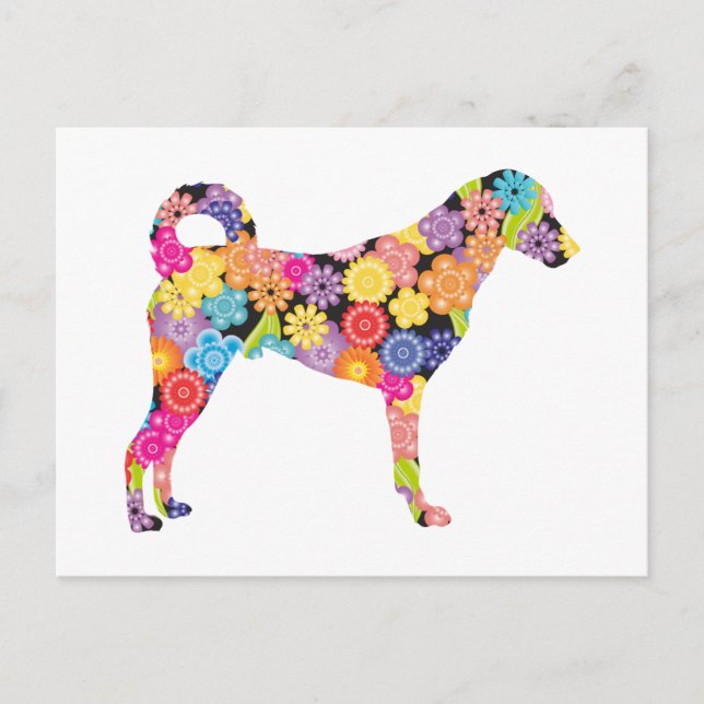 Postal Perro de Kangal (Anverso)