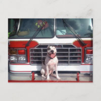 Perro de la casa de bomberos con micrófono